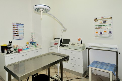 Veterinario Ruggeri Studio (4).jpg